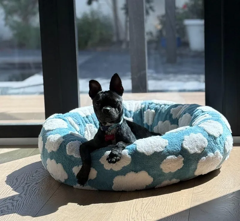 Midnight thumbnail 5