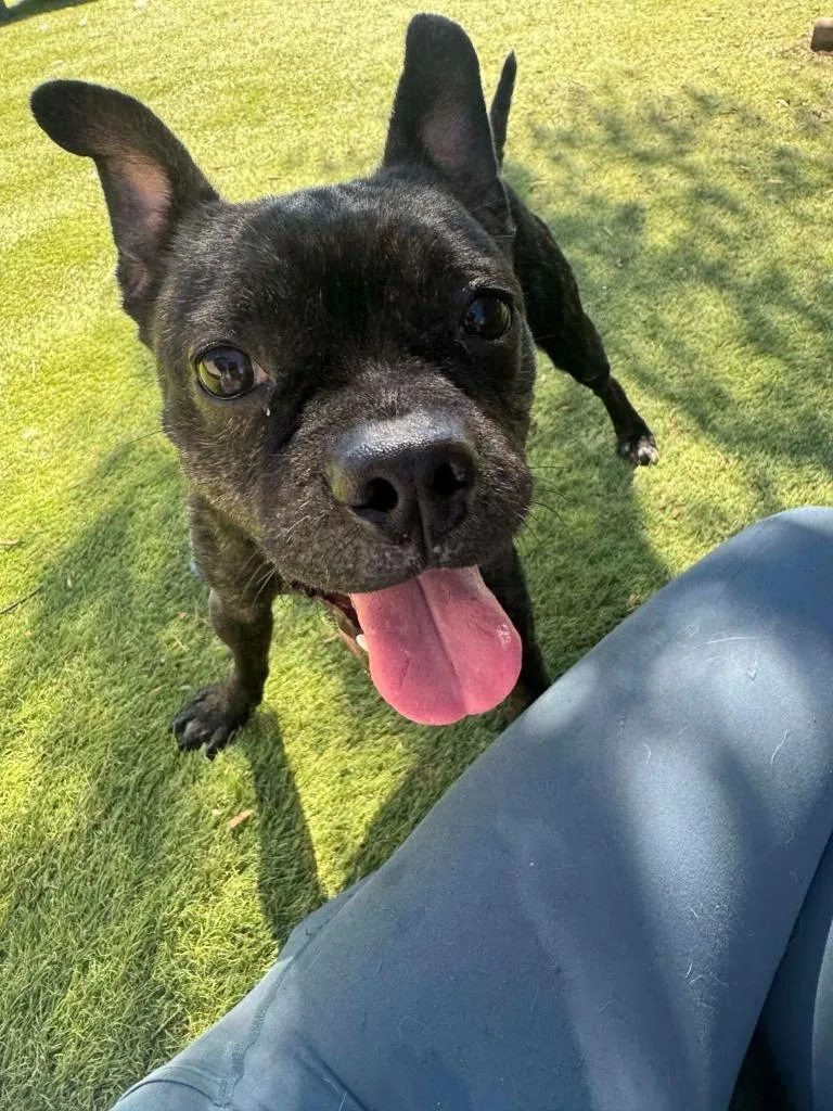 Midnight thumbnail 6