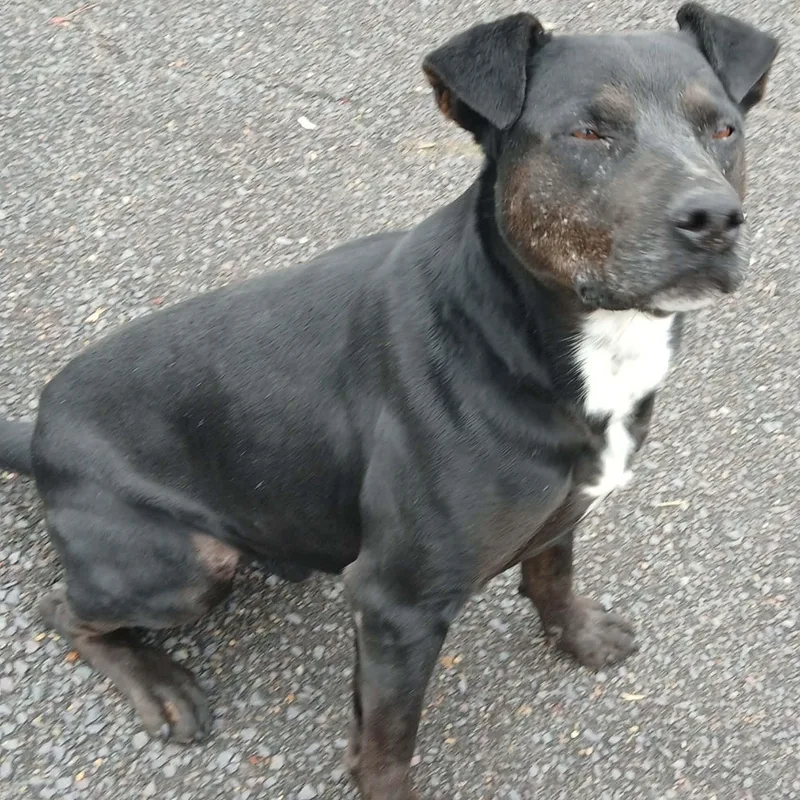 Midnight thumbnail 3