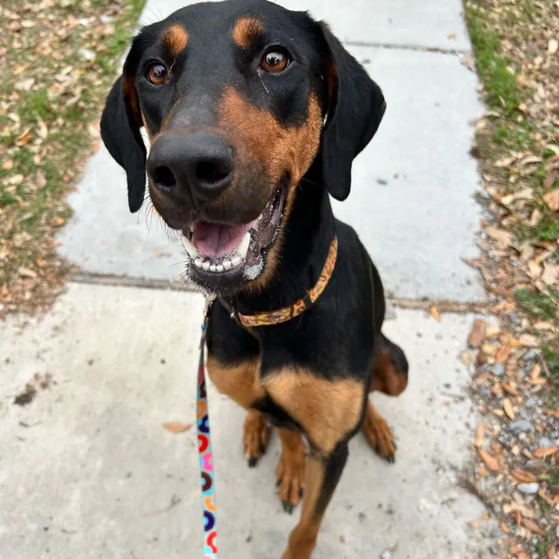 Jasmine Rose thumbnail 6