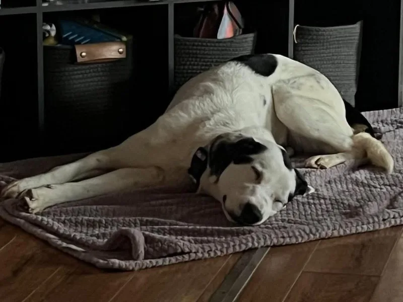 Mrs Clause Missy thumbnail 3