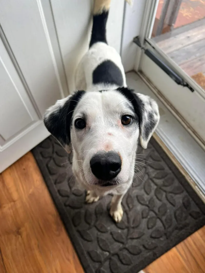 Mrs Clause Missy thumbnail 4