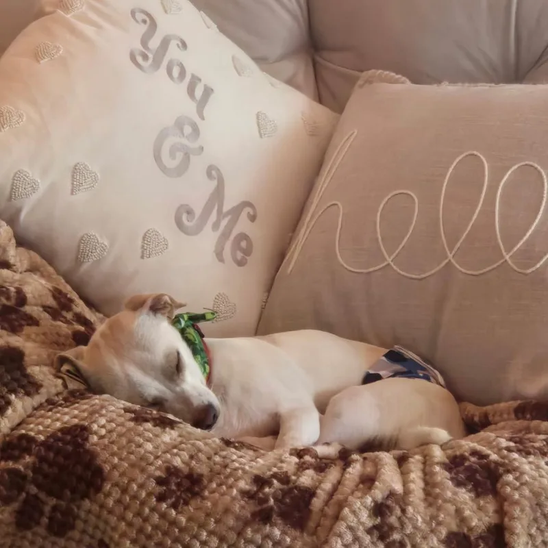 Tater Tot thumbnail 5