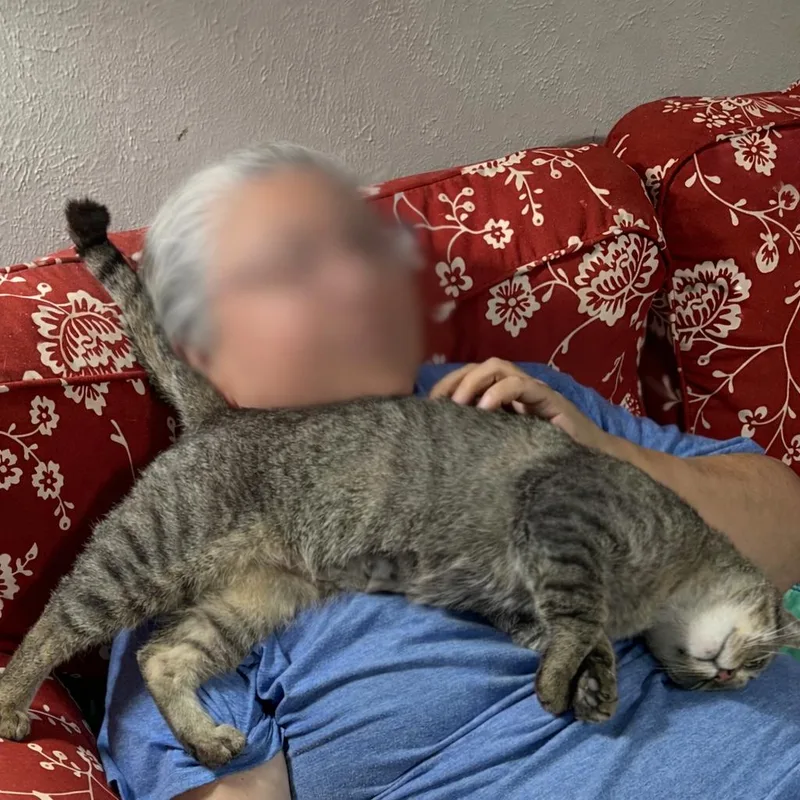 Serafina thumbnail 3