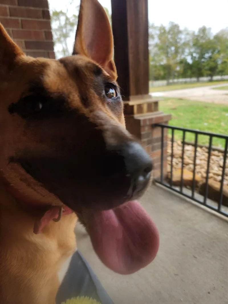 Kai  Breeze Oceana thumbnail 6