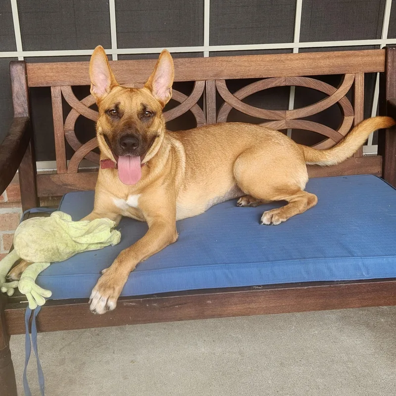 Kai Breeze Oceana photo 1