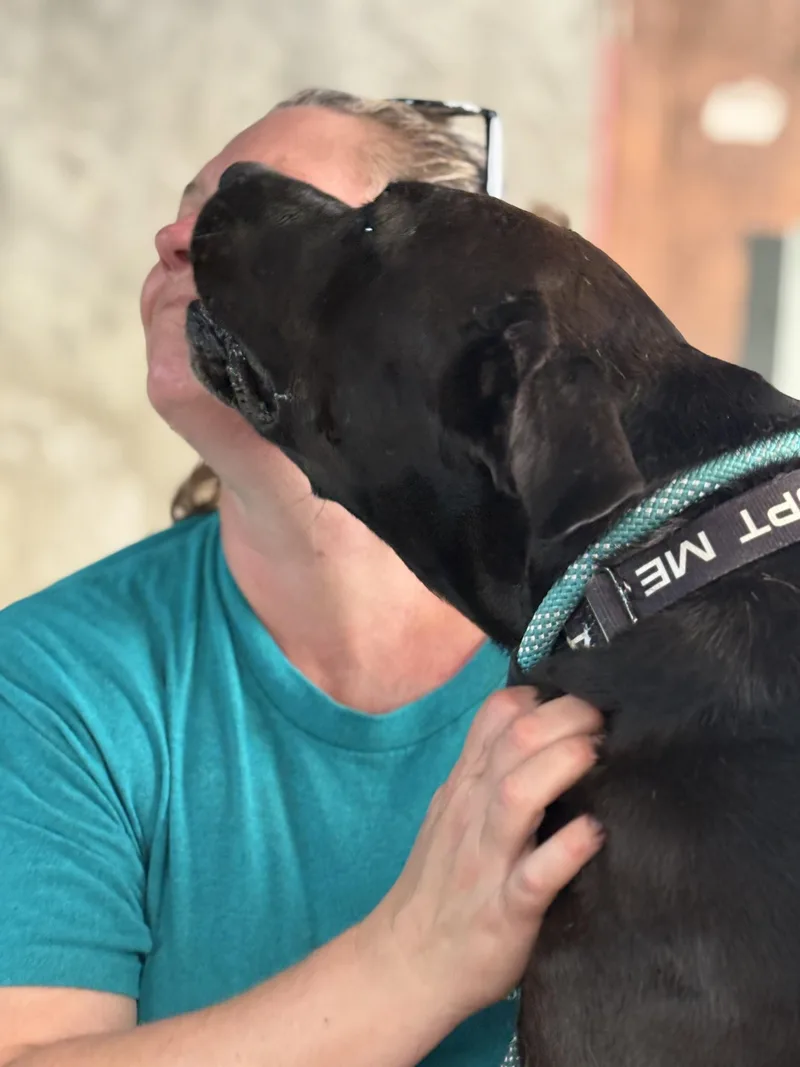 Rexie The Bestie thumbnail 4