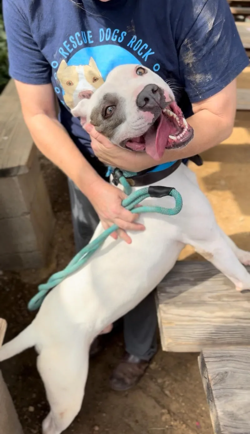 Rocket Man thumbnail 2