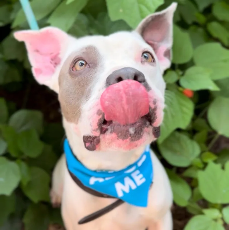 Rocket Man thumbnail 3