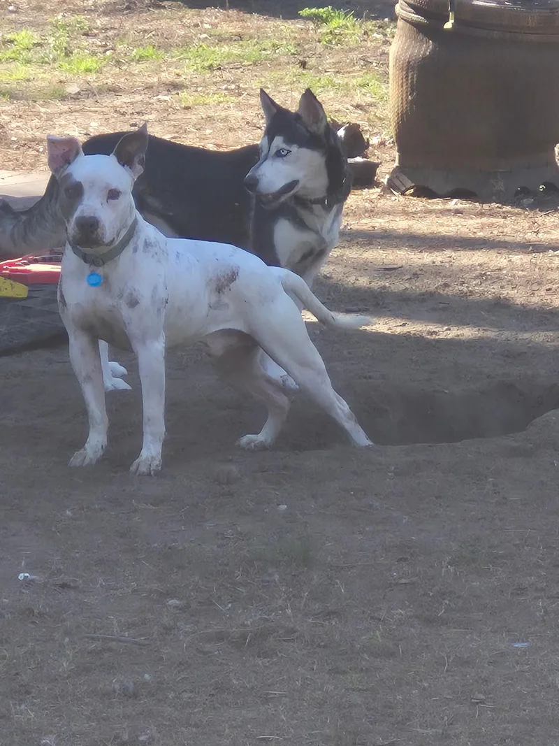 Rocket Man thumbnail 5