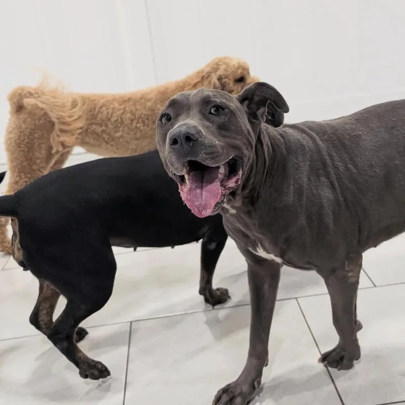 Toby Maguire thumbnail 2