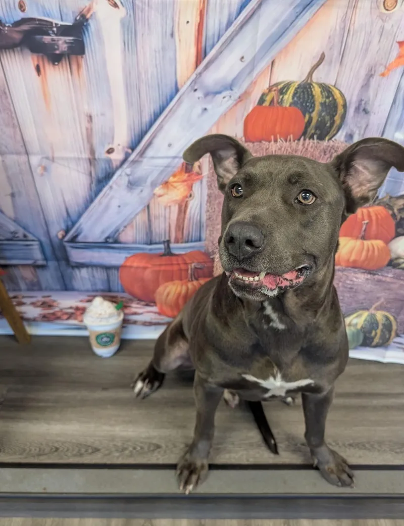 Toby Maguire thumbnail 3