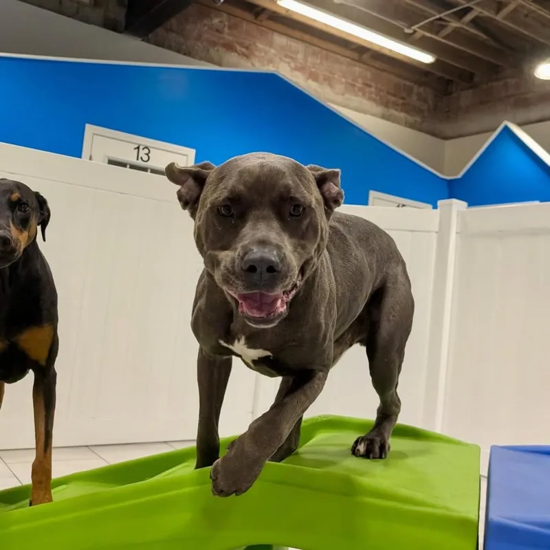 Toby Maguire thumbnail 5