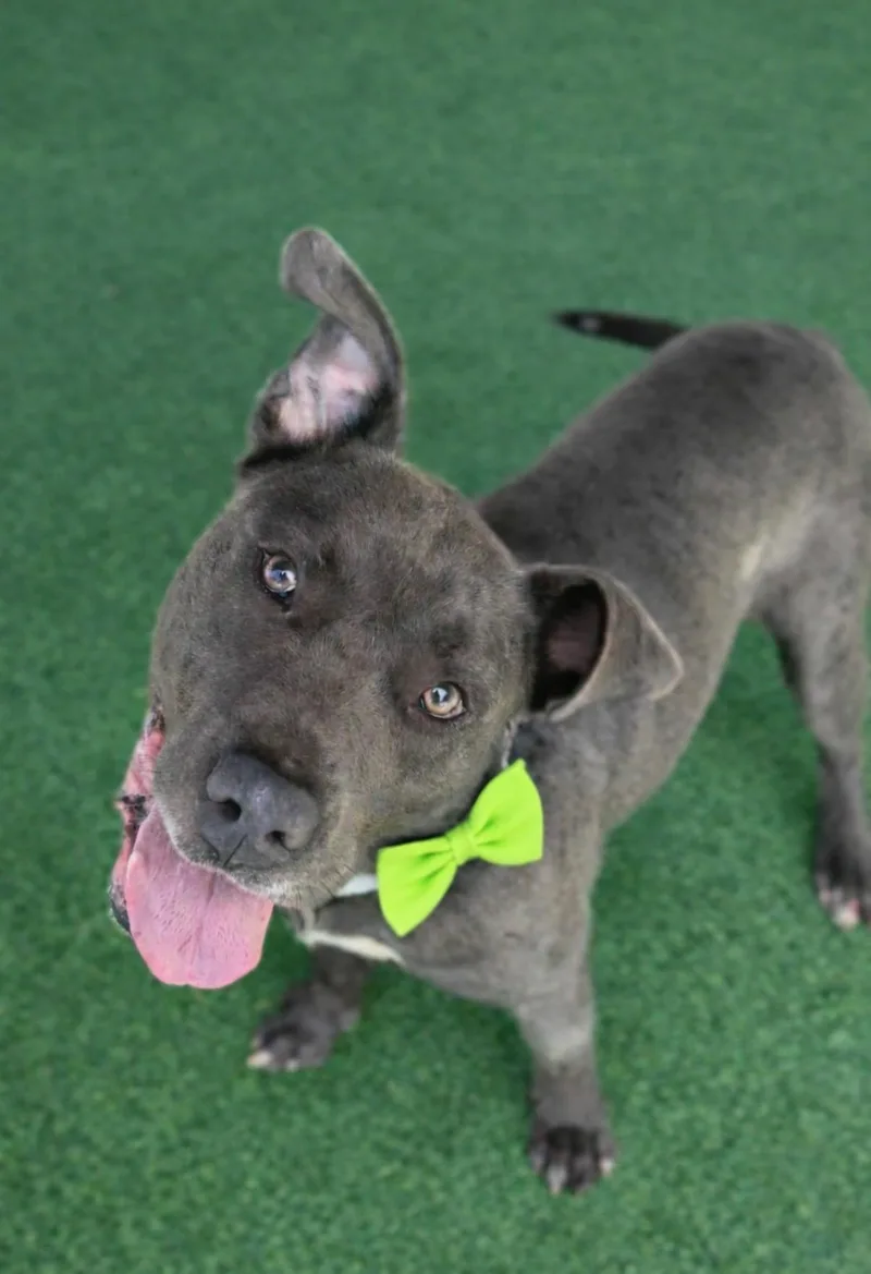 Toby Maguire thumbnail 6