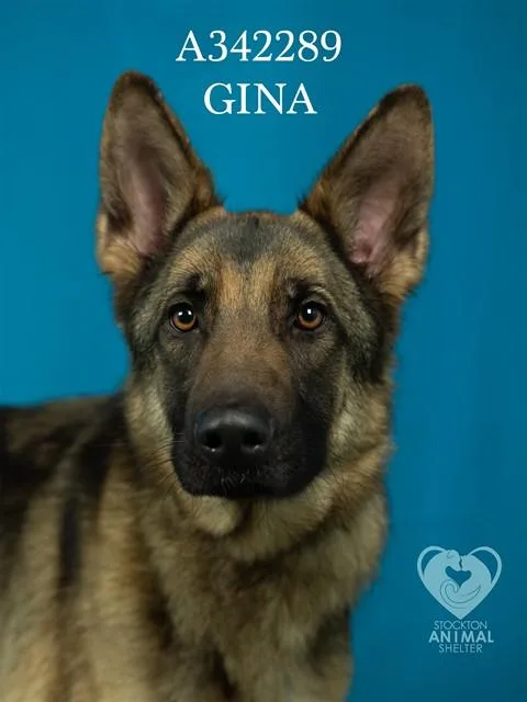 Gina