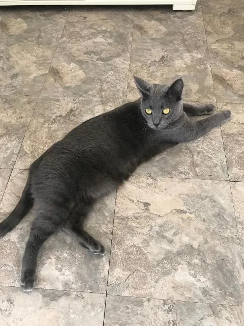 Ivory Fka Evie thumbnail 3