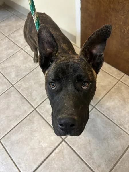 Sprinkles thumbnail 3