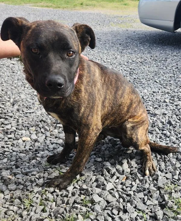 Sprinkles thumbnail 4