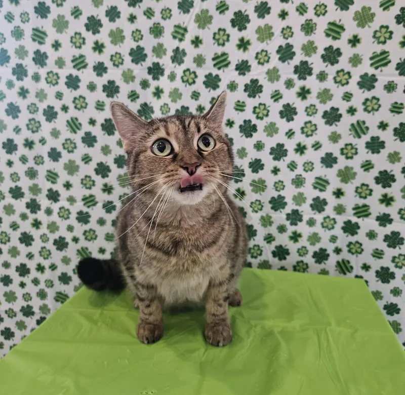 Missy & Billy thumbnail 4