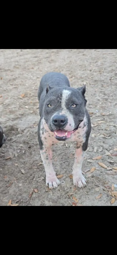 Lunchbox thumbnail 2