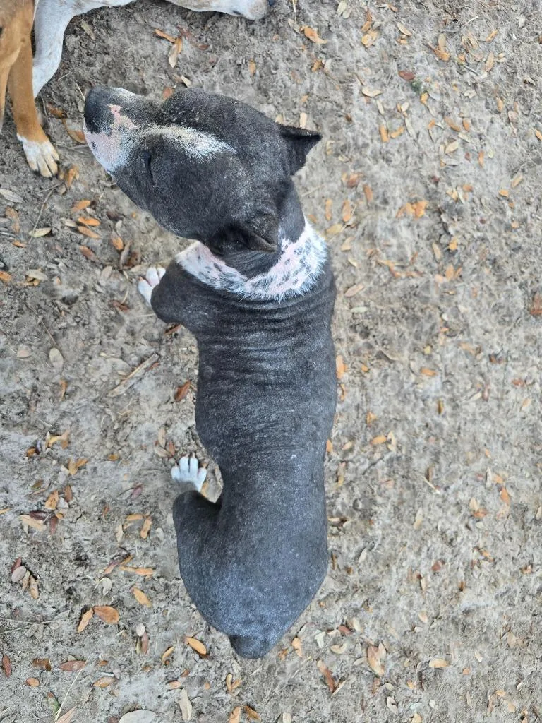 Lunchbox thumbnail 3