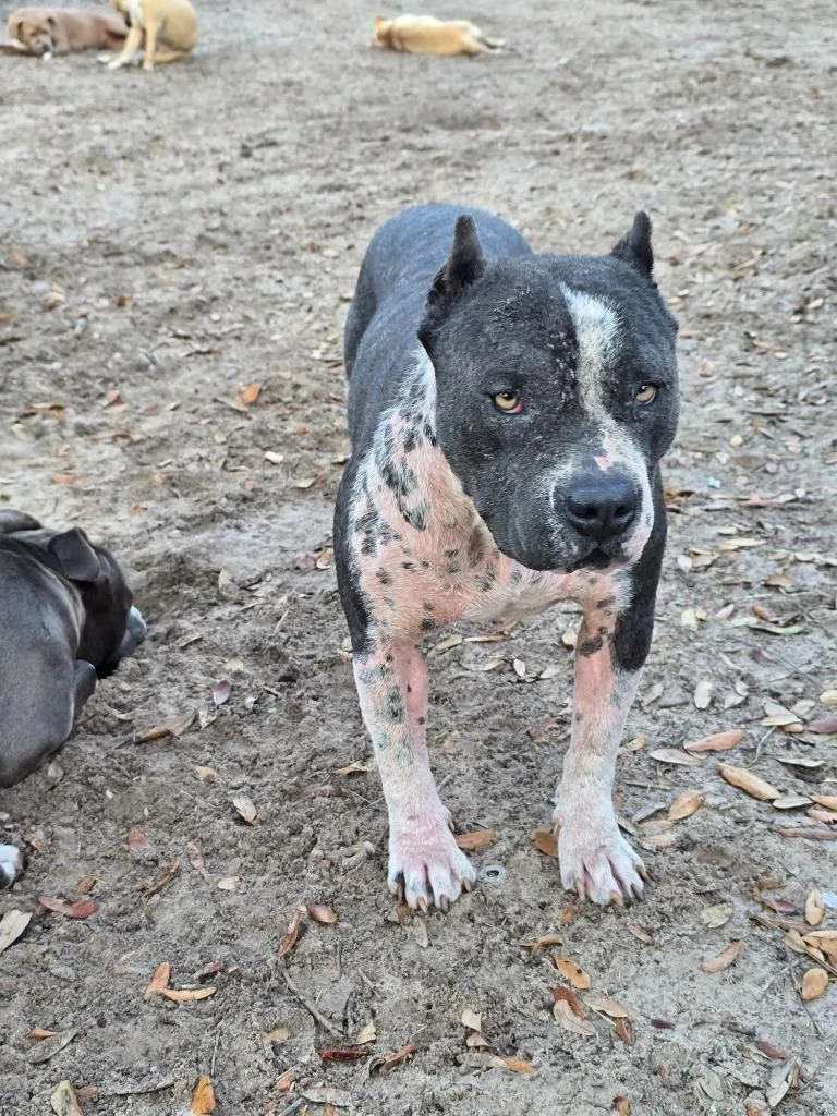 Lunchbox thumbnail 4