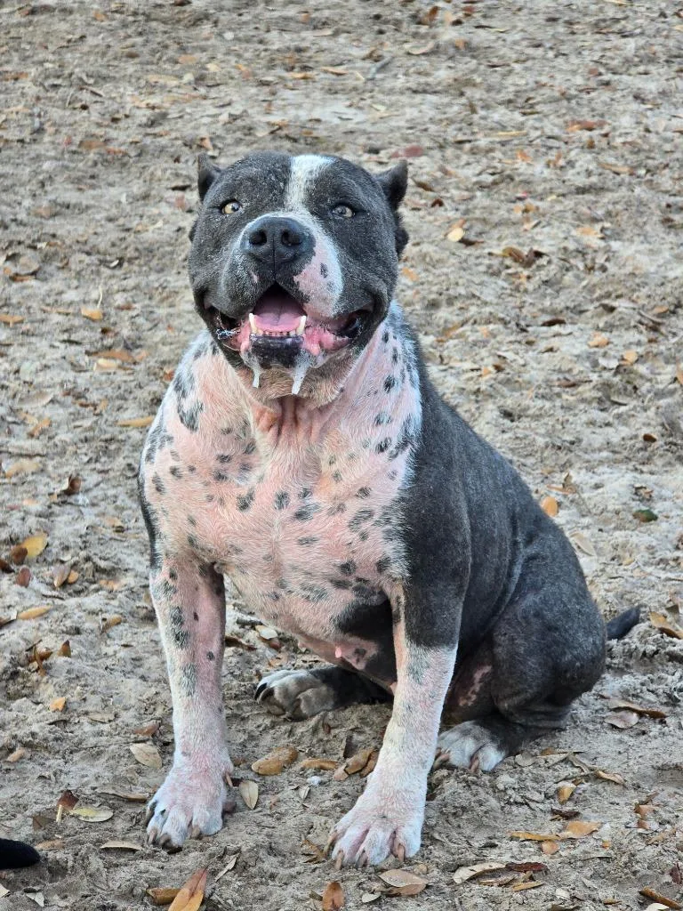 Lunchbox thumbnail 5