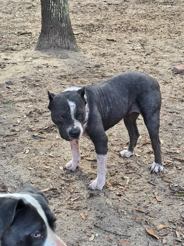 Lunchbox thumbnail 6