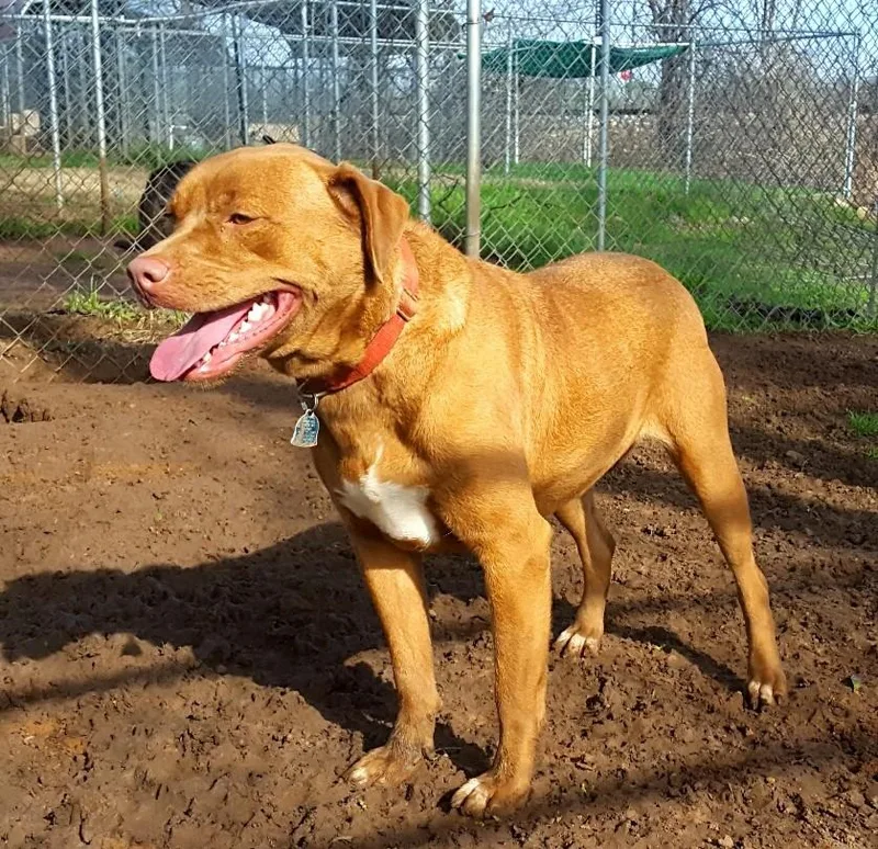 Sugarloaf thumbnail 2