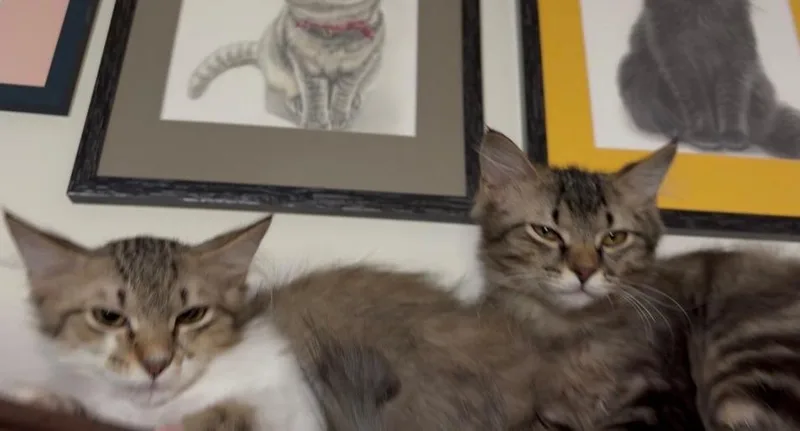 Snuggles thumbnail 2