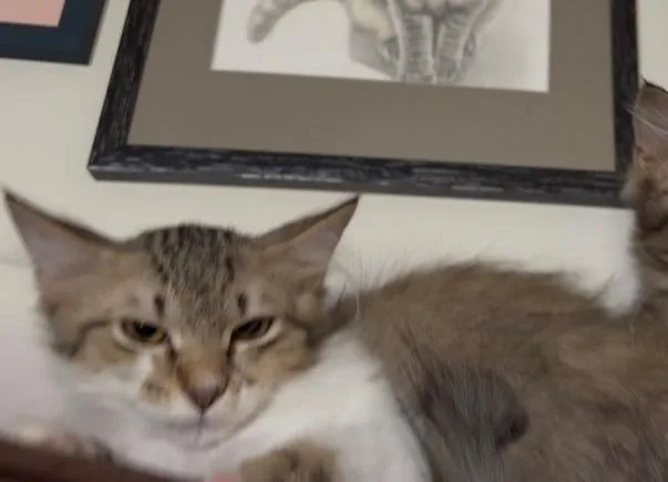 Snuggles thumbnail 3