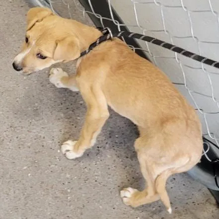 Mercedes thumbnail 2