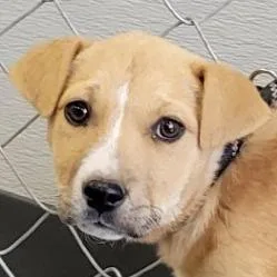 Mercedes thumbnail 3