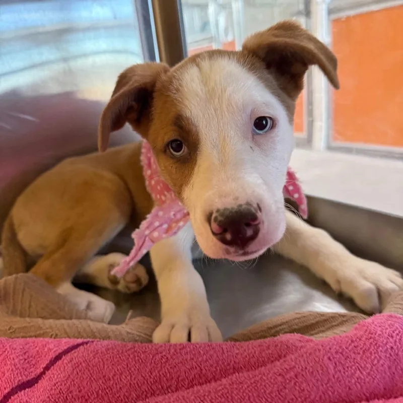 Rosalina thumbnail 5