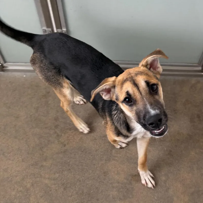 Sally Mae thumbnail 3