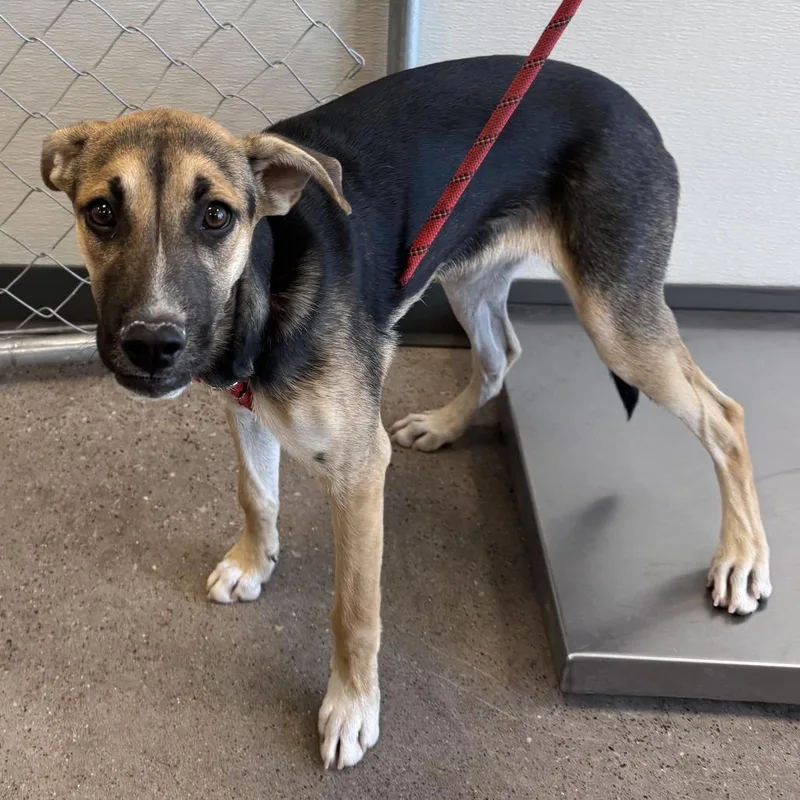 Sally Mae thumbnail 5