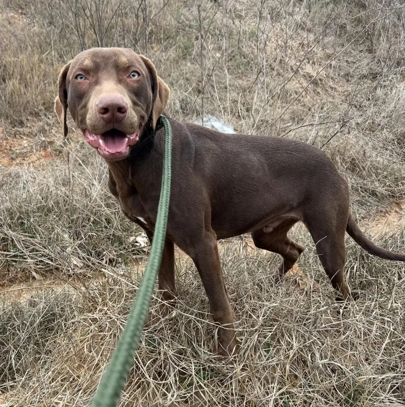 Gilligan thumbnail 2