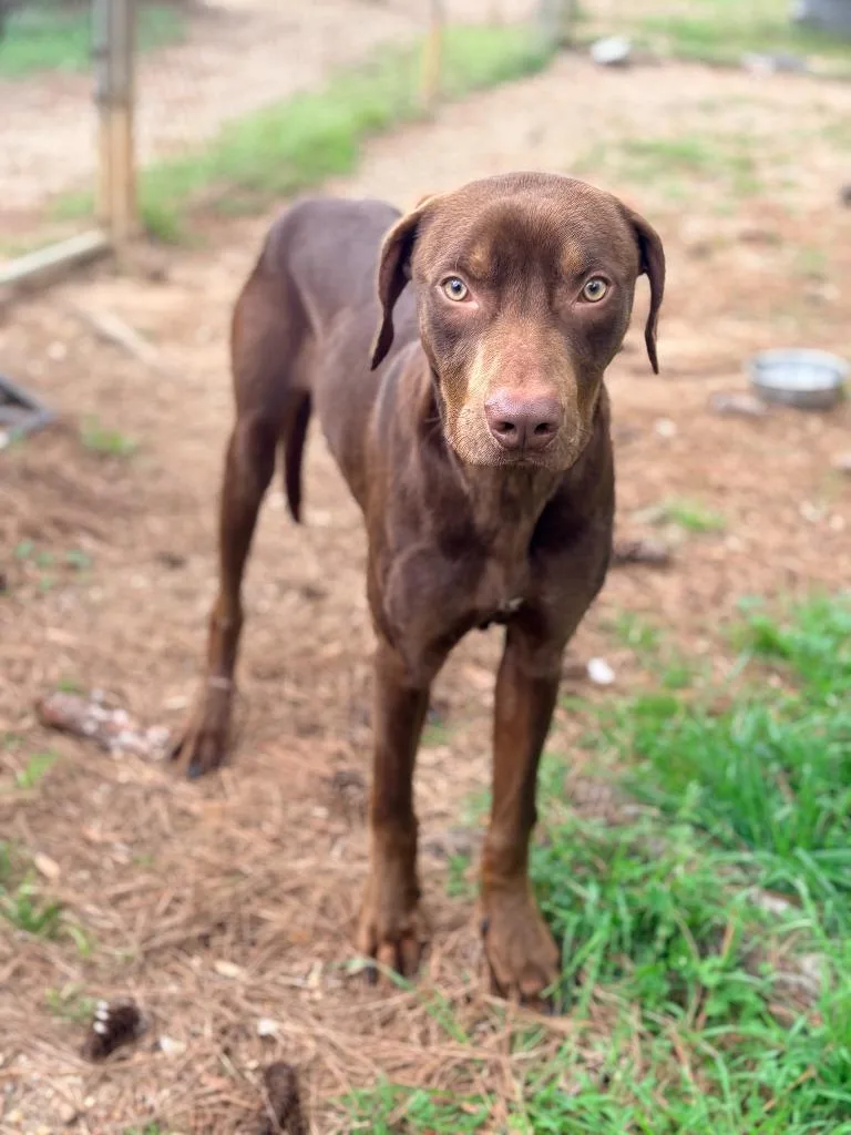 Gilligan thumbnail 4