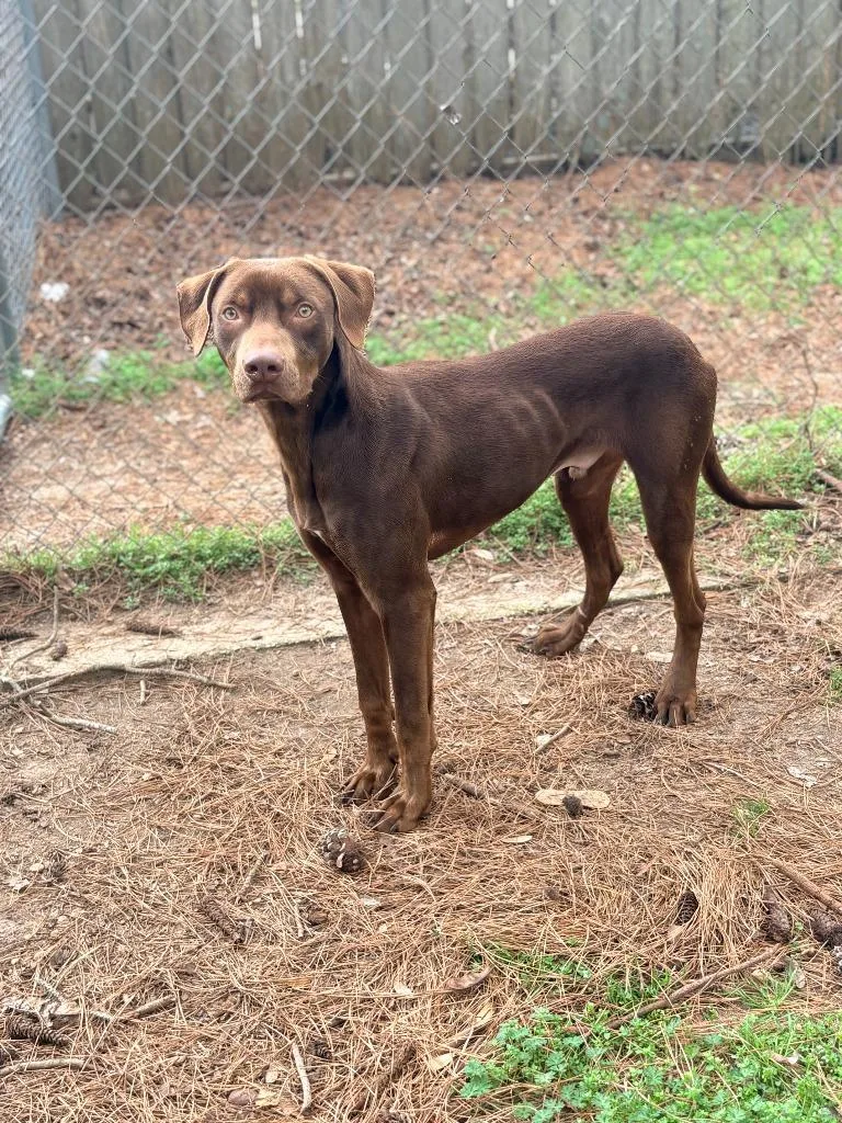 Gilligan thumbnail 5