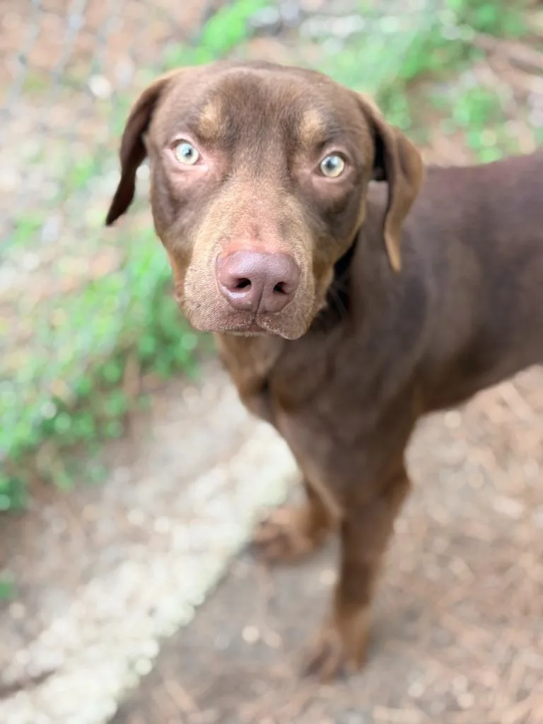 Gilligan thumbnail 6