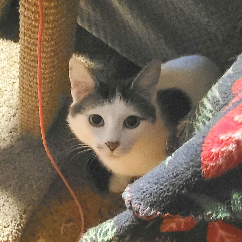 Lilly  Momma thumbnail 2