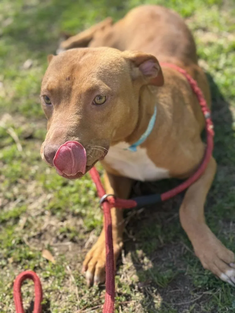 Sunshine thumbnail 3