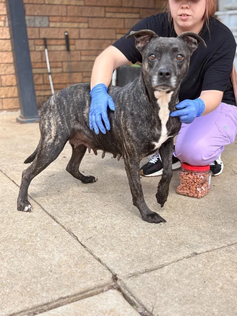 Tinkerbell thumbnail 2