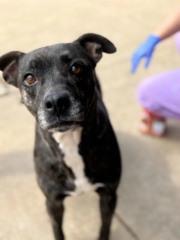 Tinkerbell thumbnail 3