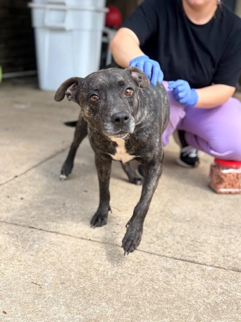 Tinkerbell thumbnail 4