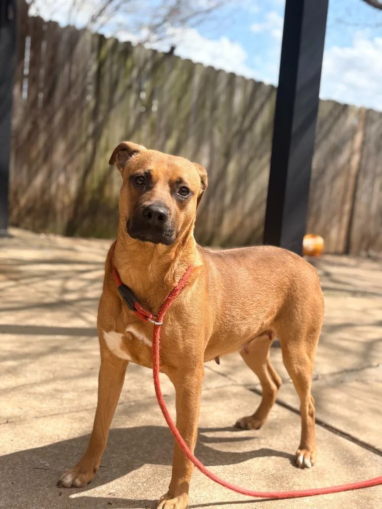 Princess thumbnail 2