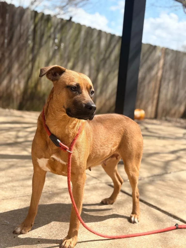 Princess thumbnail 3