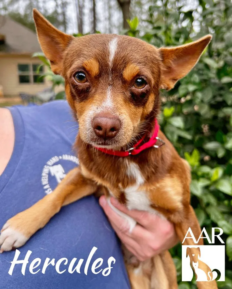 Hercules thumbnail 2