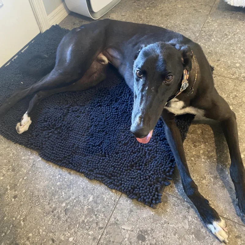 Salty Sir Veza thumbnail 2