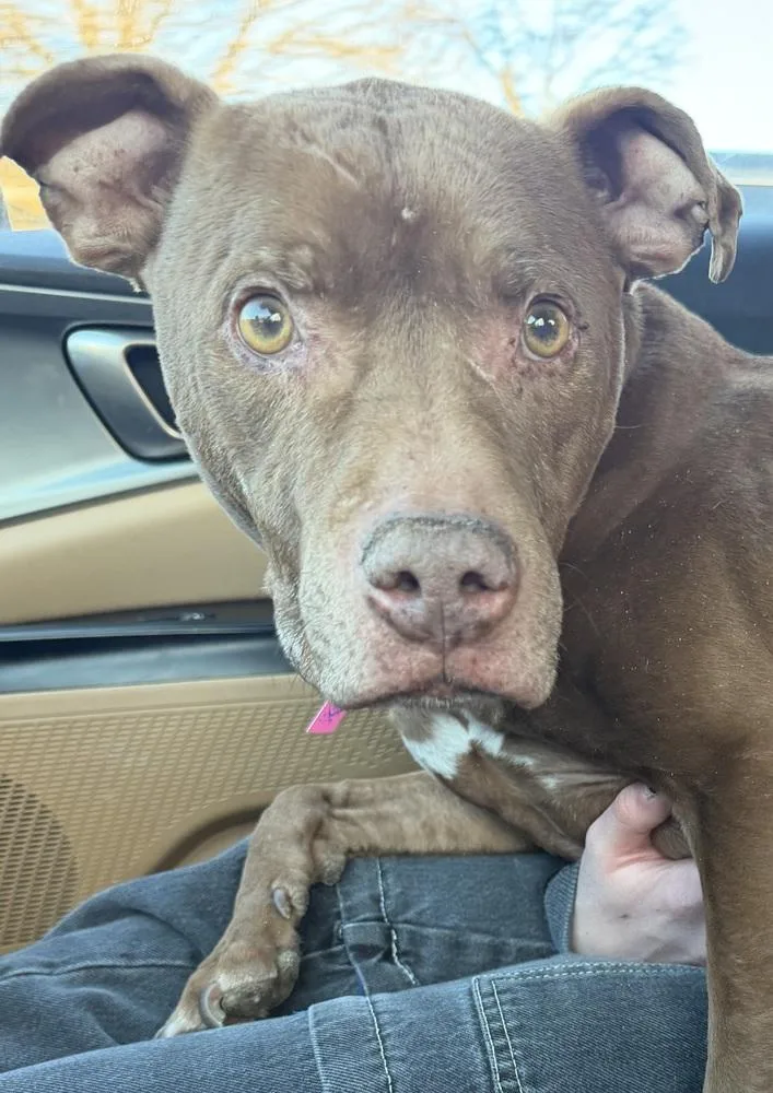 Coco Loco thumbnail 2